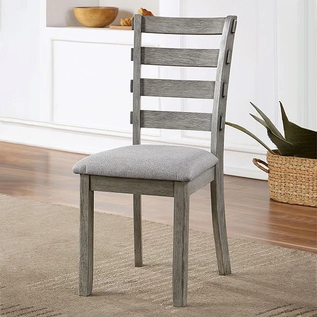 LAQUILA Side Chair Set of 2 in Gray - Modern Accent Chairs