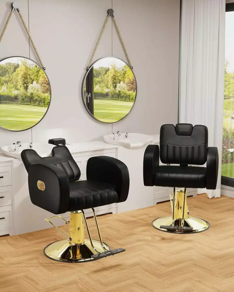 Baasha Ergonomic Reclining Salon Chair with Adjustable Headrest Heavy Duty Barber Chair