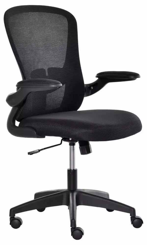 Ergonomic Computer Task Chair with Lumbar Back Support Adjustable Height and Flip-up Arms Black