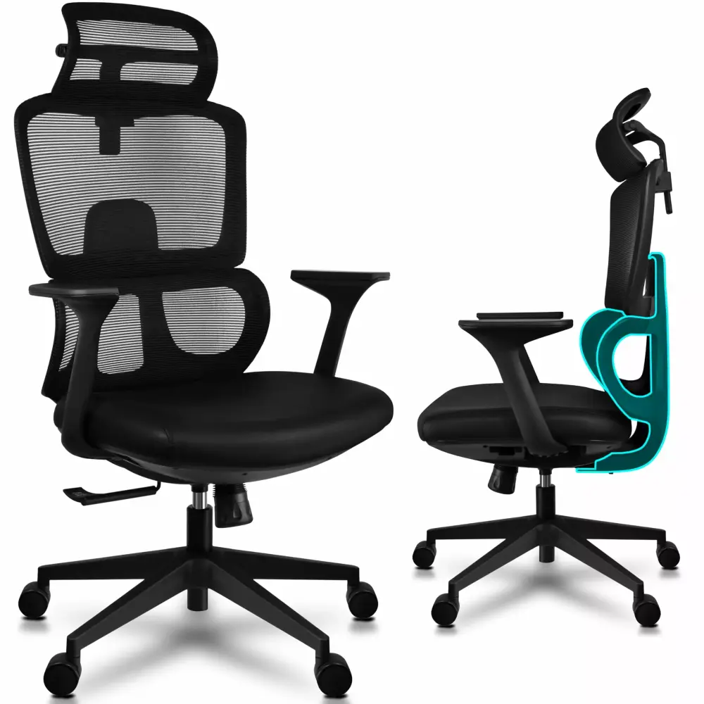 2xhome Ergonomic Office Chair with Lumbar Support Adjustable Executive Desk Armchair