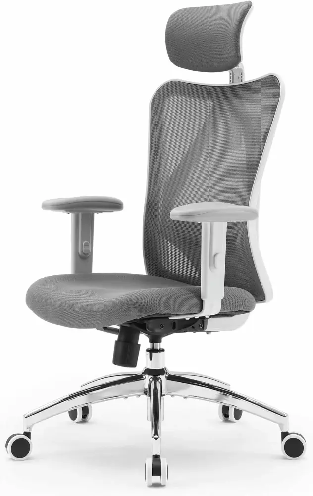 M18 Ergonomic Office Chair with Adjustable Headrest and Lumbar Support in Dark Gray