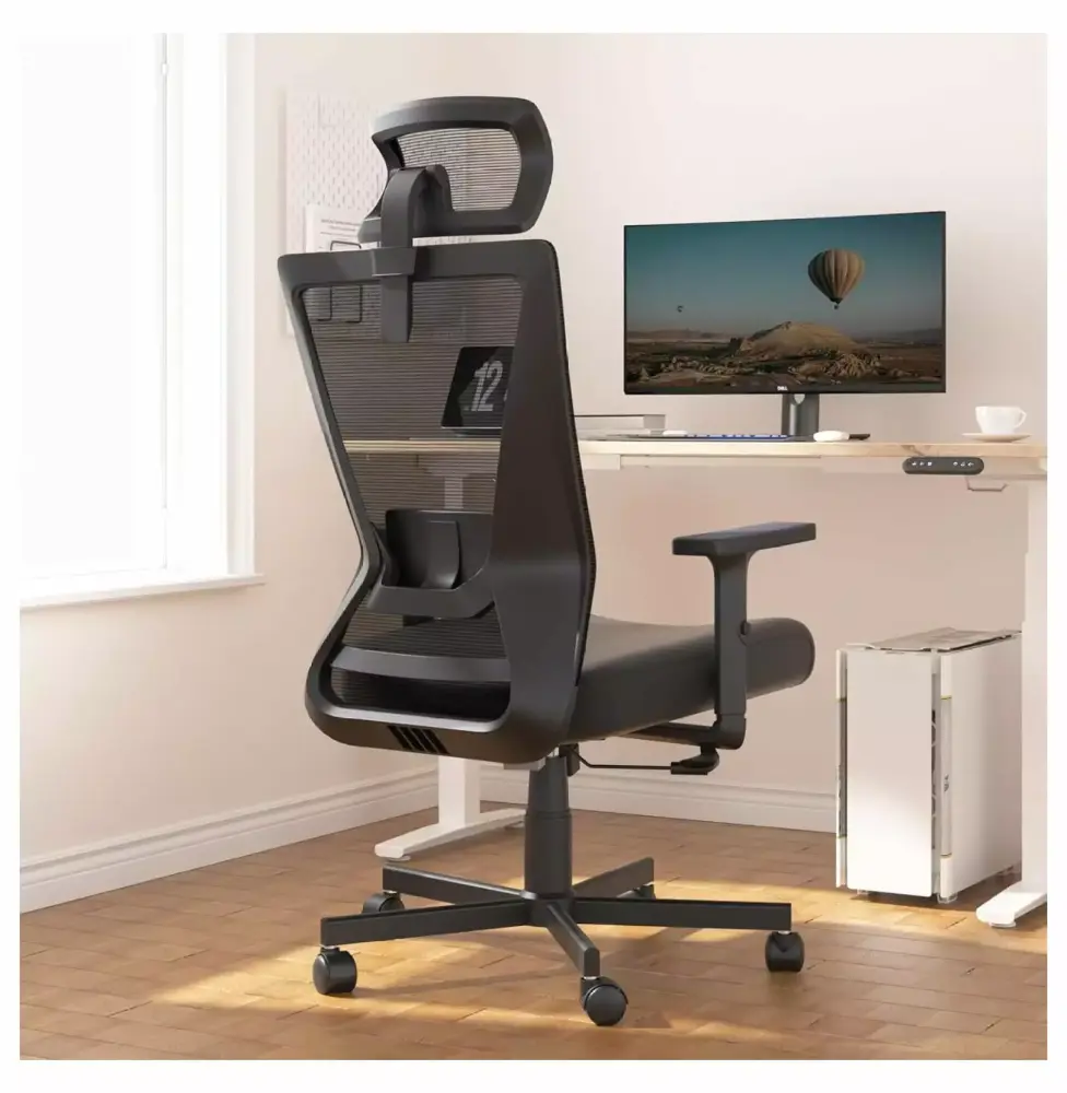 Drevy Ergonomic Office Chair High Back Computer Chair with Lumbar Support Black