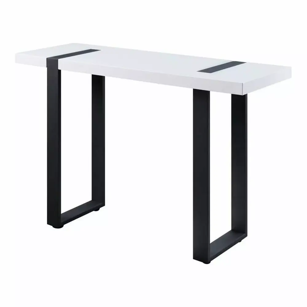 Bowery Hill Contemporary Metal Console Table in Black and White