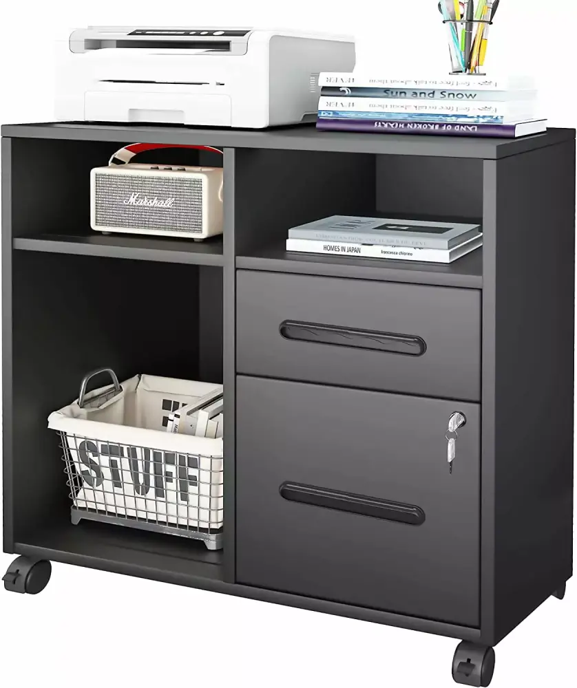 Dextrus 2-Drawer Mobile Lateral Filing Cabinet Printer Stand with Open Shelves for Home Office