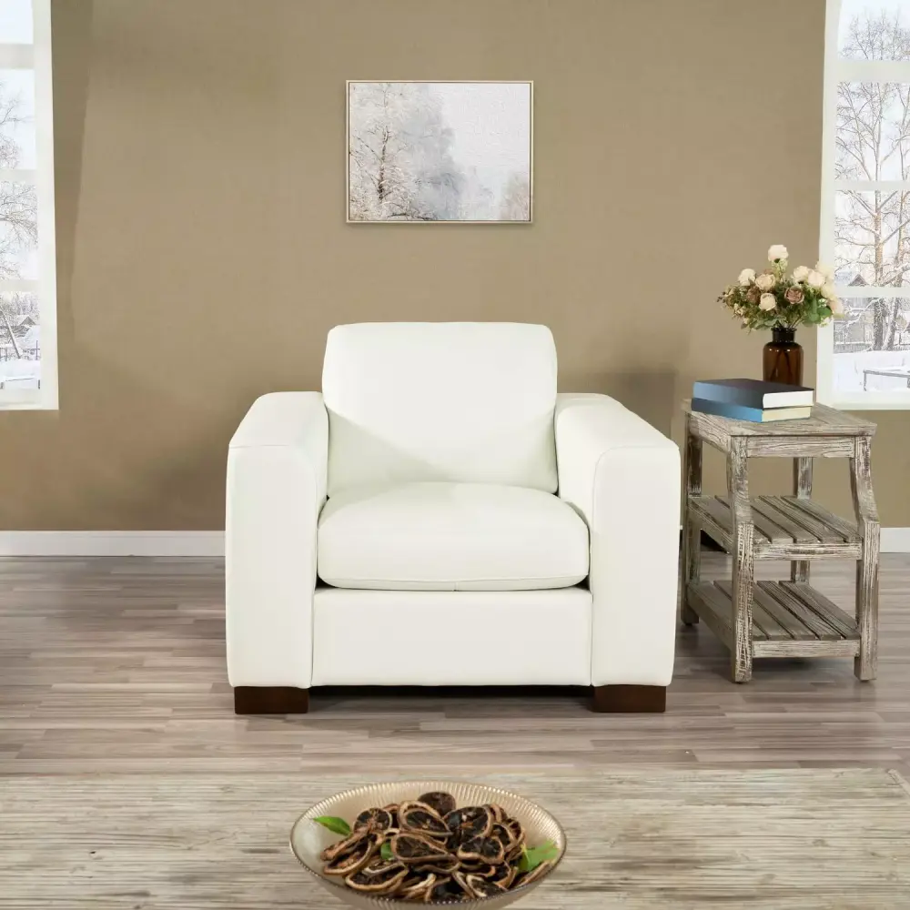 Freya Chair White Modern Minimalist Lounge Chair