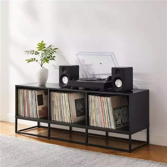 Enzo Large Record Storage Media Console in Black - Entertainment Center for Vinyl Records