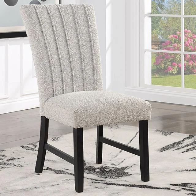 OPHEIM Side Chair Set of 2 Modern Dining Chairs