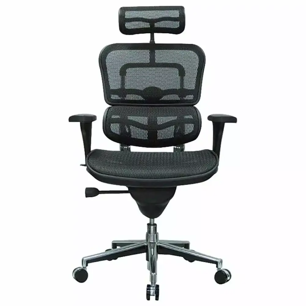 Eurotech High Back Mesh Task Chair Black Ergonomic Office Chair