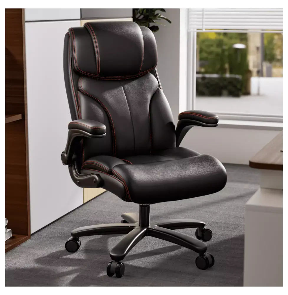 FENG20 Task Computer Chair with Lumbar Back Support in Black