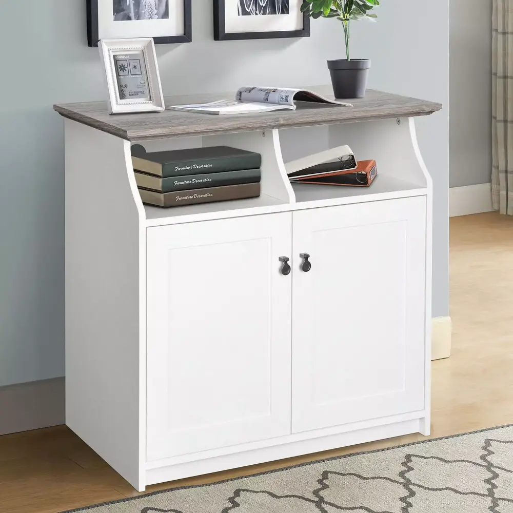 Saint Birch Finley White 2 Door Vertical Filing Cabinet