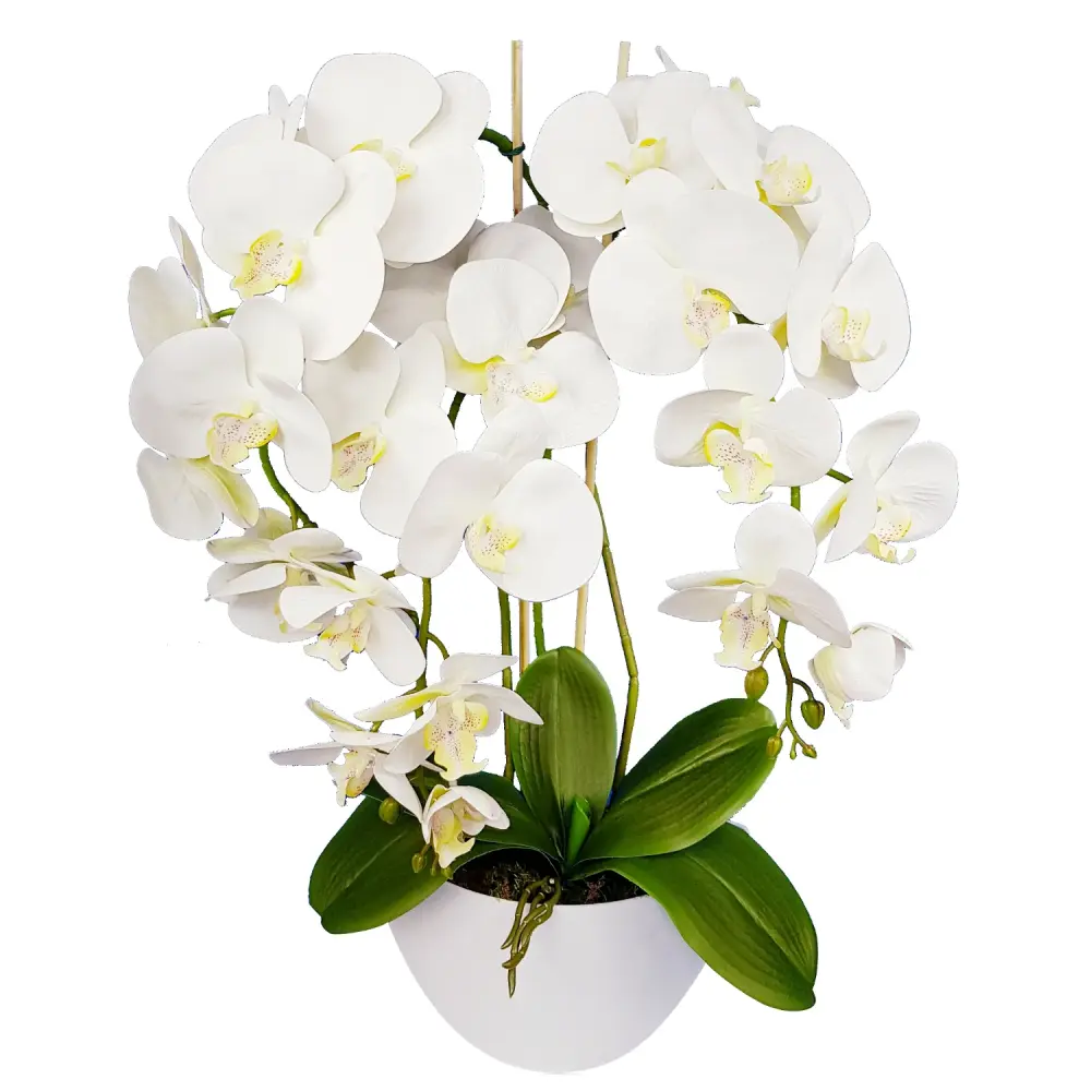 Damich Artificial Orchid Flower Pot Plant Artificial Flower Decoration 3-flowering Branches Height About 60cm Ivory