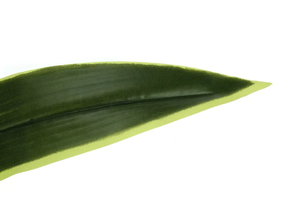 47" Grande, Artificial Plant, Dracaena Tree, Indoor, Faux, Fake, Floor, Greenery, Potted, Real Touch, Decorative - Green /...