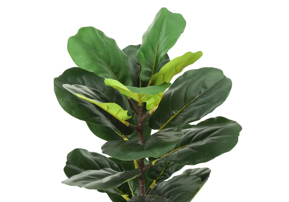 28" Tall, Artificial Plant, Fiddle Tree, Indoor, Faux, Fake, Floor, Greenery, Potted, Real Touch, Decorative - Green / Ecru