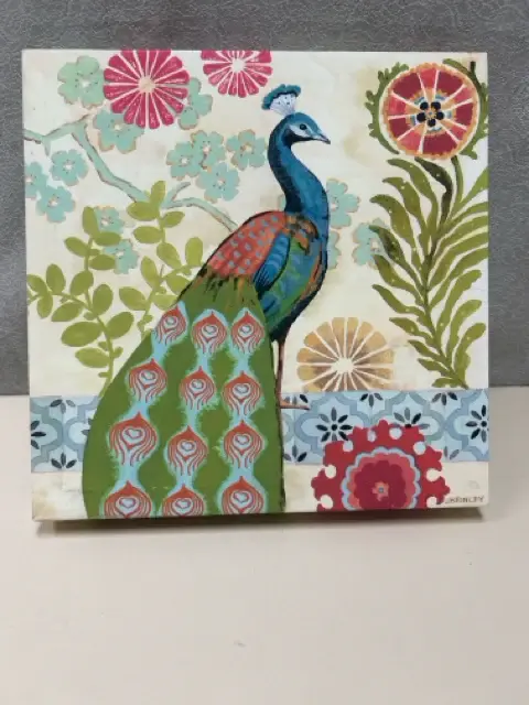 MULTI-COLOR PEACOCK PIC