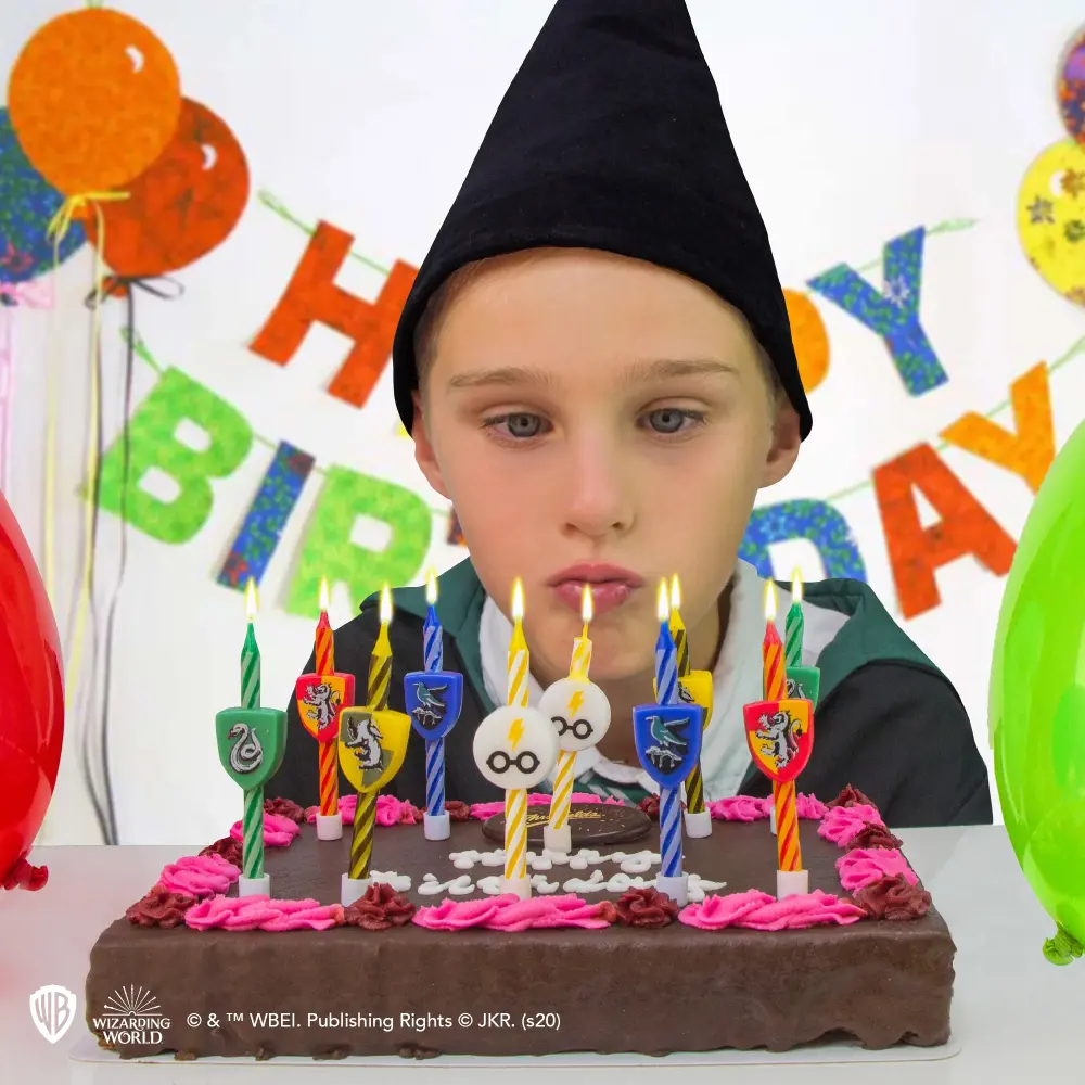 Place 10 Hogwarts Houses Harry Potter Birthday Candles