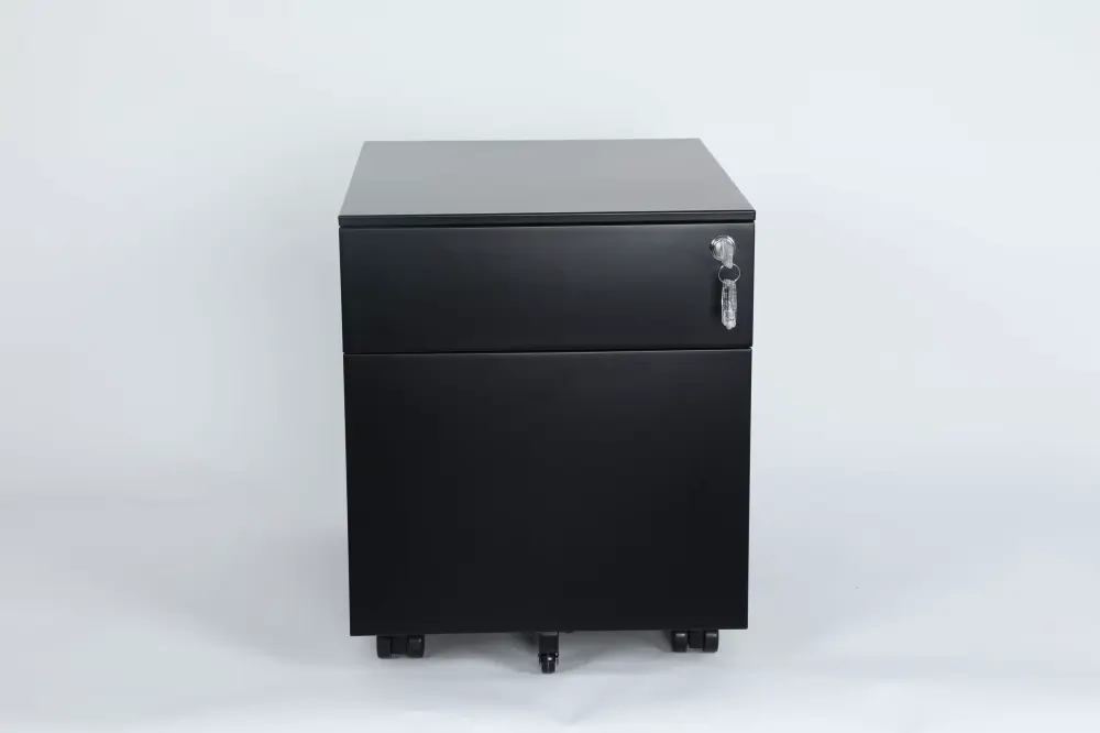 2-Drawer Lockable Mobile File Cabinet Stylish Organization Modern Offices Honsit