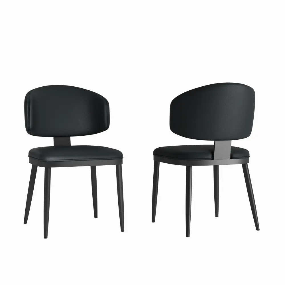 Modern Dining Chairs Kitchen (Set 2)