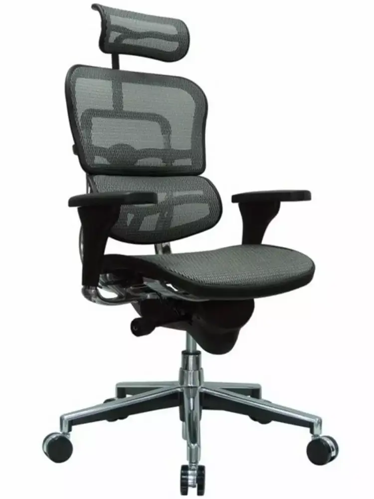 Ergohuman High Back Tall Office Chair Ergonomic Mesh Executive Chair Cubicles