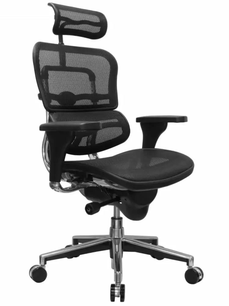 Ergohuman High Back Tall Office Chair Ergonomic Mesh Executive Chair Cubicles