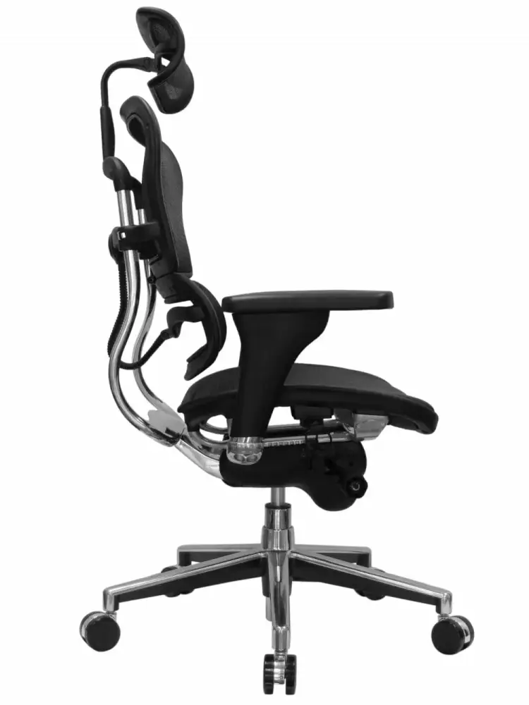 Ergohuman High Back Tall Office Chair Ergonomic Mesh Executive Chair Cubicles
