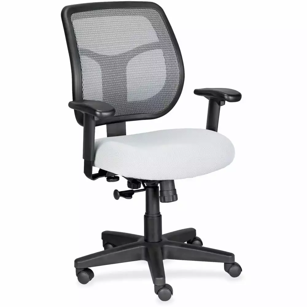 Raynor Eurotech Apollo Mesh Fabric Synchro Tilt Task Chair Silver Black Ergonomic Office Chair