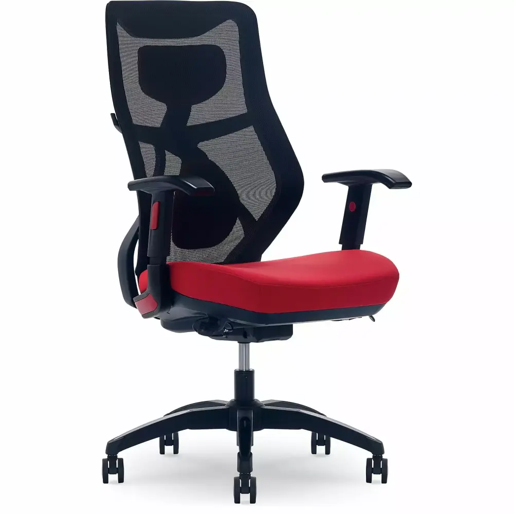 Beautyrest Duo-EX Ergonomic Mesh Swivel Computer Chair Red 60051-RED Office Chair TRUE INNOVATIONS