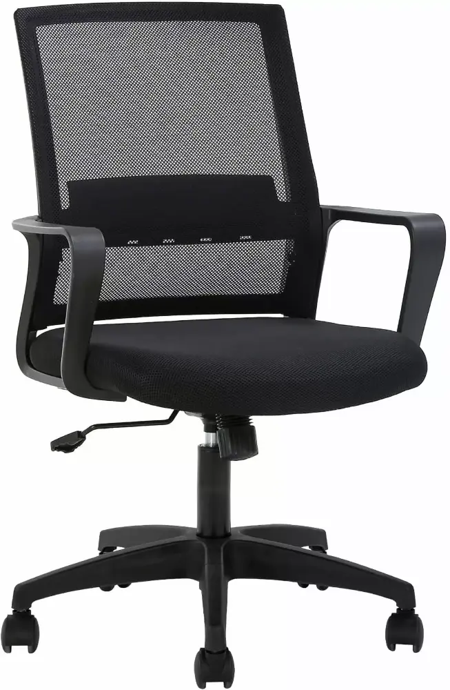 BestOffice Executive Chair Lumbar Support Swivel 250 lb Capacity Black