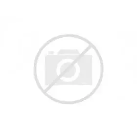 Thermostat (WB20K10017)