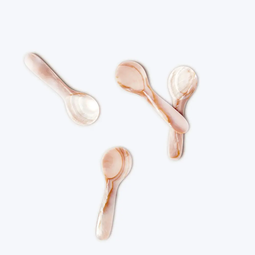 Brown Seashell Spoons, Adjust 4