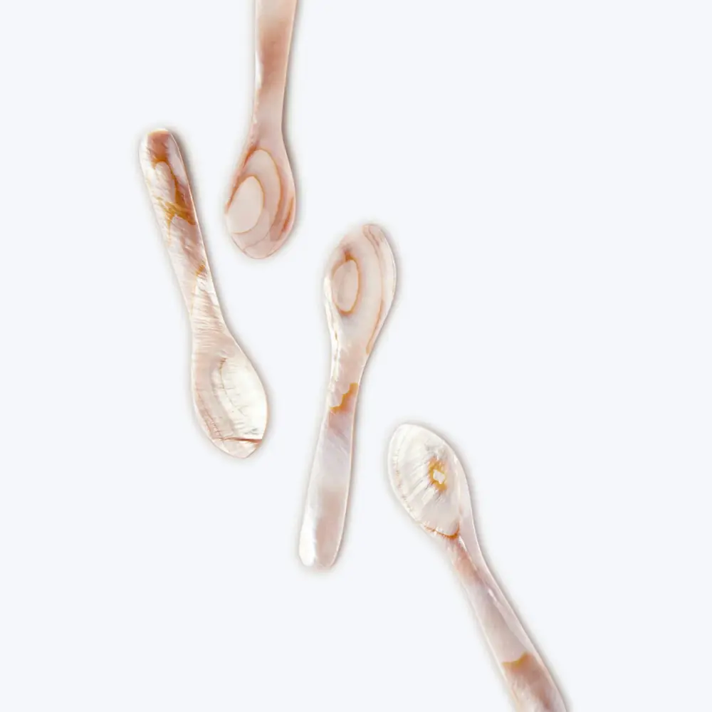 Brown Seashell Spoons, Adjust 4