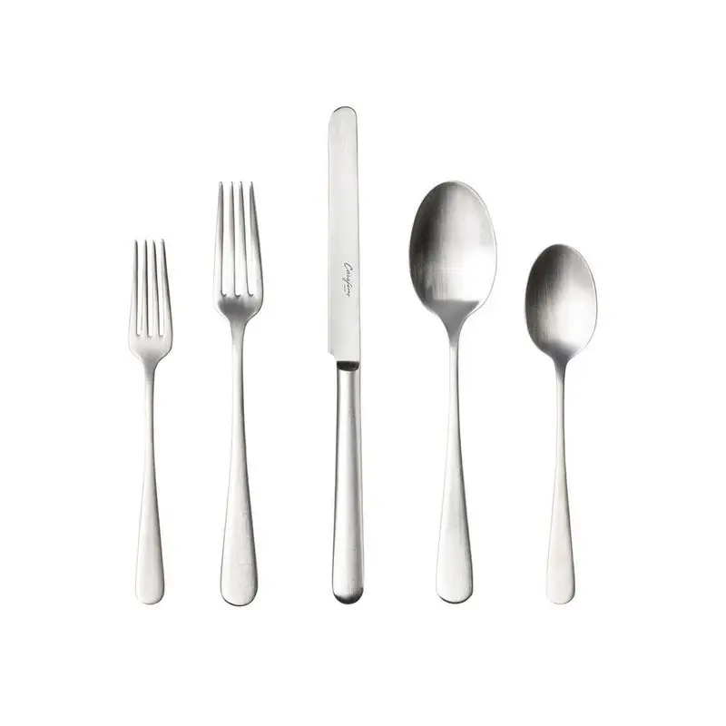 PACIFICA Flatware 5 Pieces Set - Vintage Soft-touch Silver