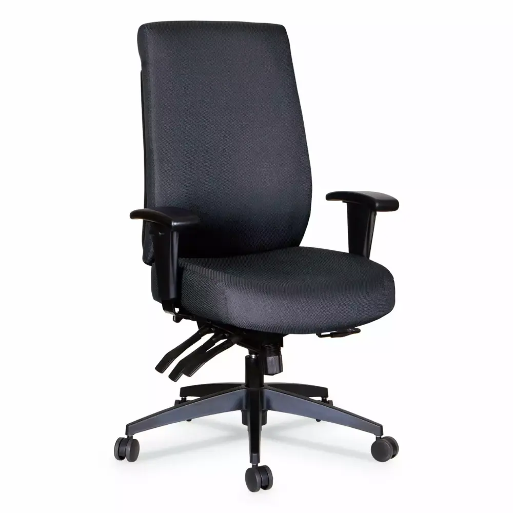Alera Wrigley Series High Performance High Back Multifunction Task Chair Black 275 lbs