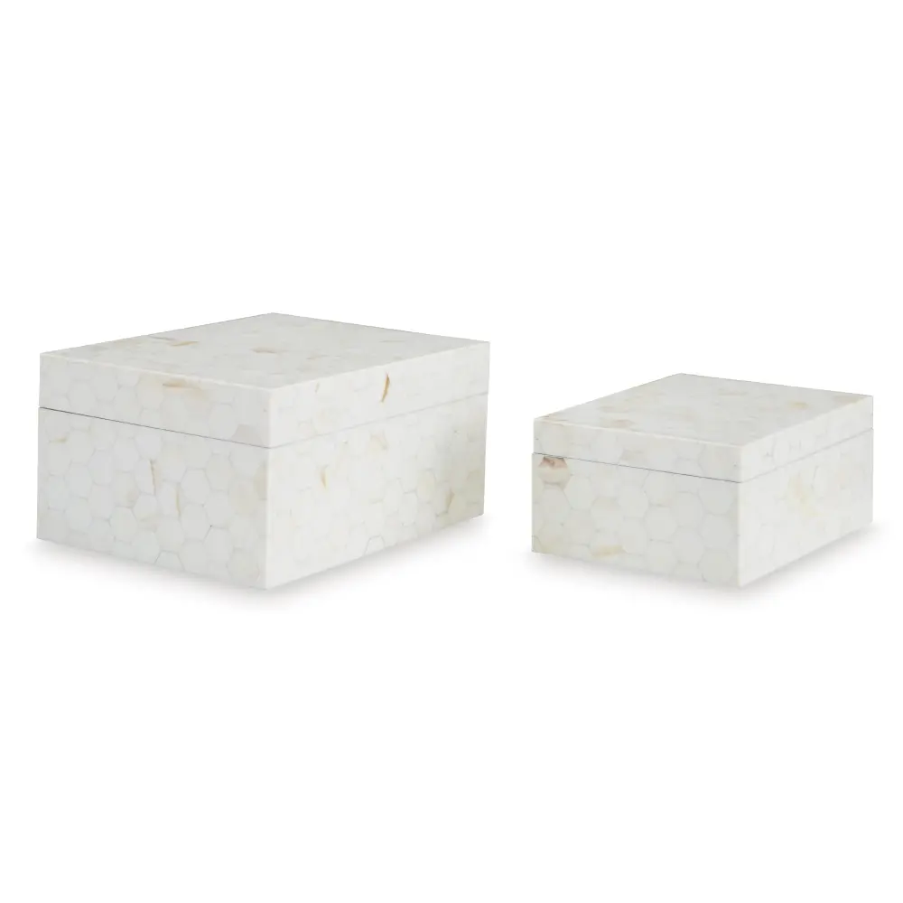 Diamond Sleek Furniture Exclusive Design Home Decor Boxes A2000690