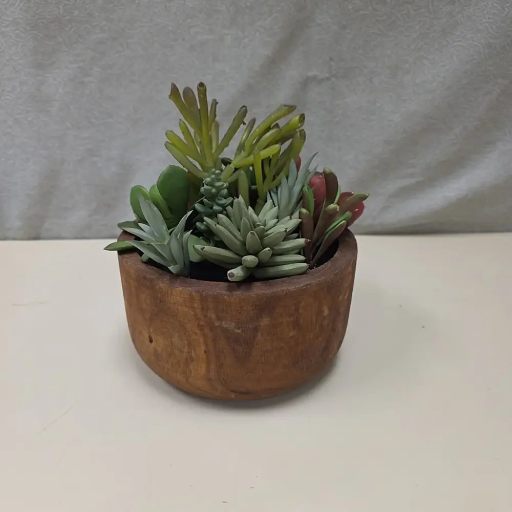 FAUX SUCCULENT HARDWOOD BOWL