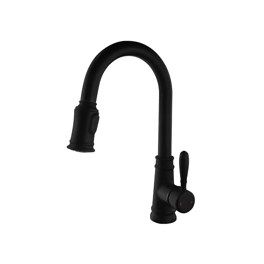 Energy Efficient MONACO-BK Single Handle Kitchen Faucet, Matte Charcoal