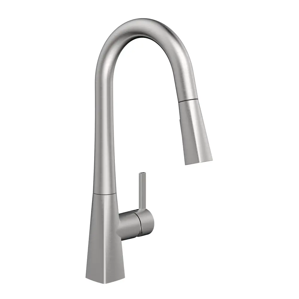 Evolution Kitchen Sink Faucet Rotate Pull-Out Spout and Push Button Diverter