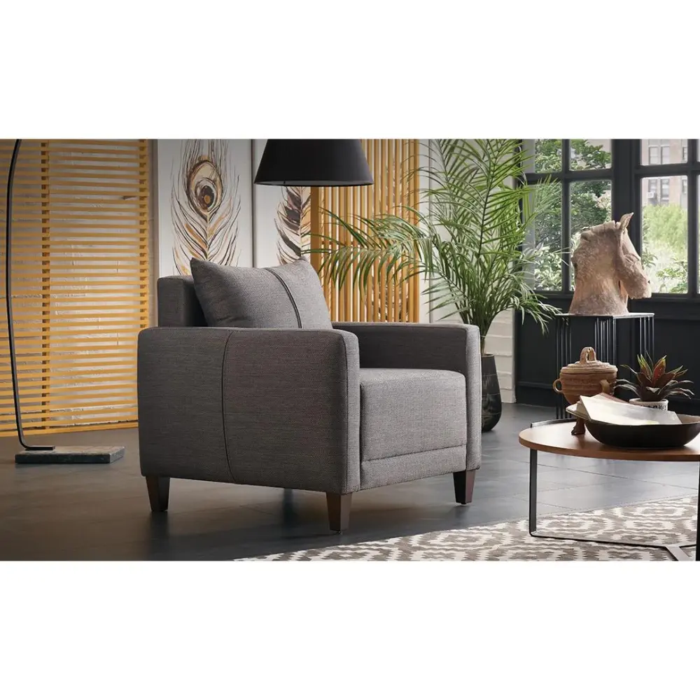 Diamond Modern Furniture Restricted Smart Stationary Fabric Chair Smart Armchair - Brown