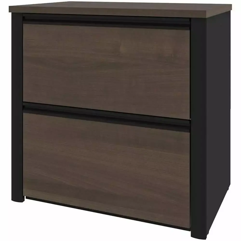 Pemberly Row 2-Drawer Antigua and Black Lateral File Cabinet