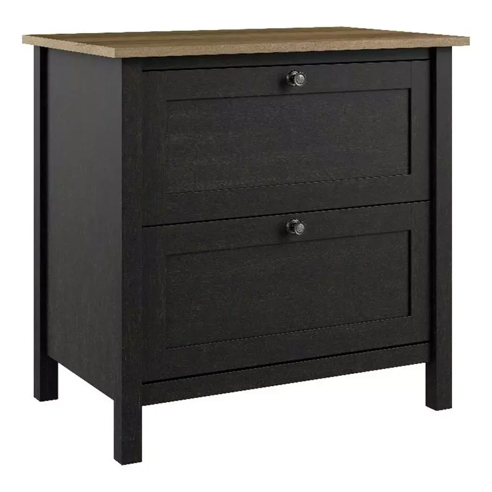 Pemberly Row 2 Drawer Lateral File Cabinet Vintage Black and Reclaimed Pine