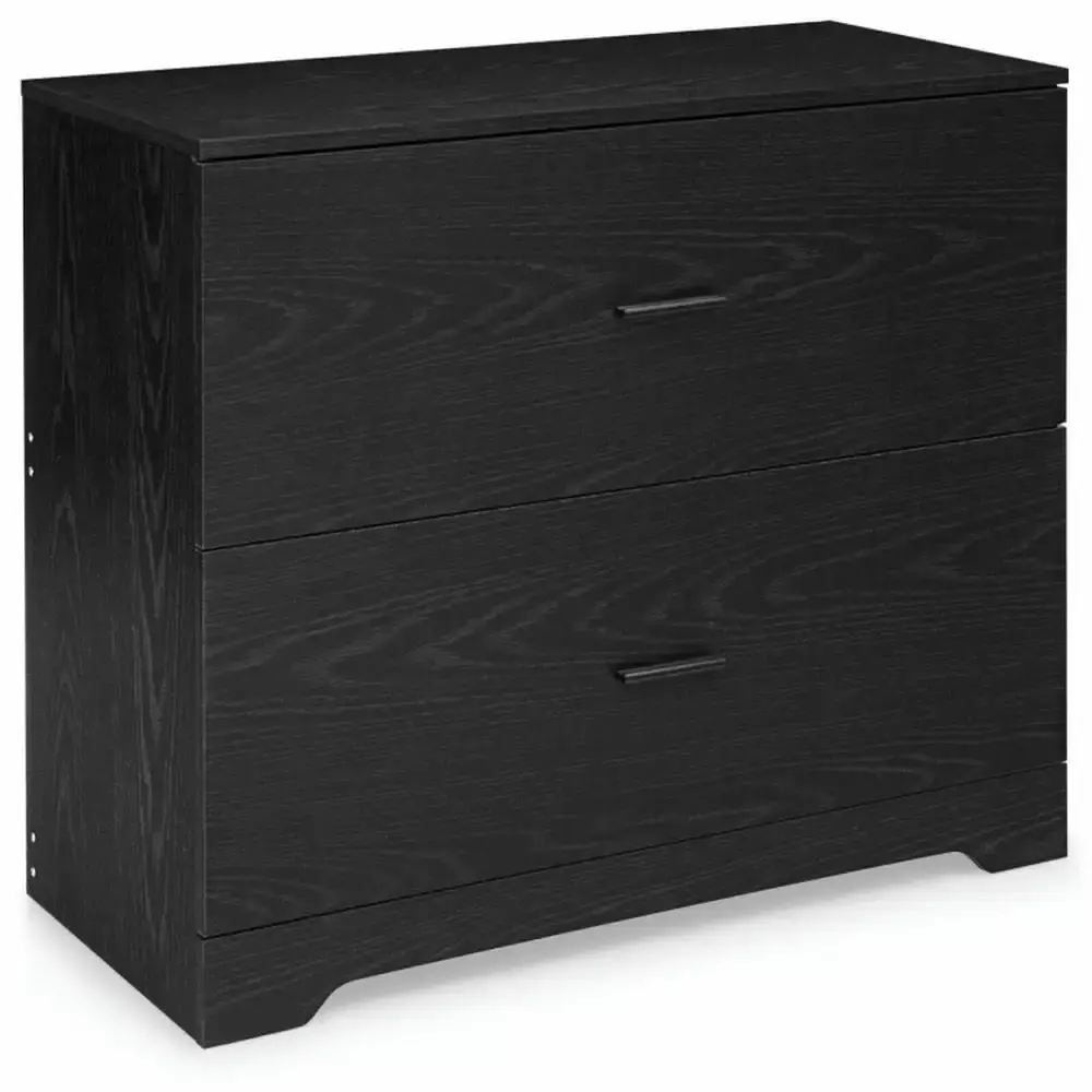Kadyn 2-Drawer Lateral File Cabinet Adjustable Bars Home and Office Black