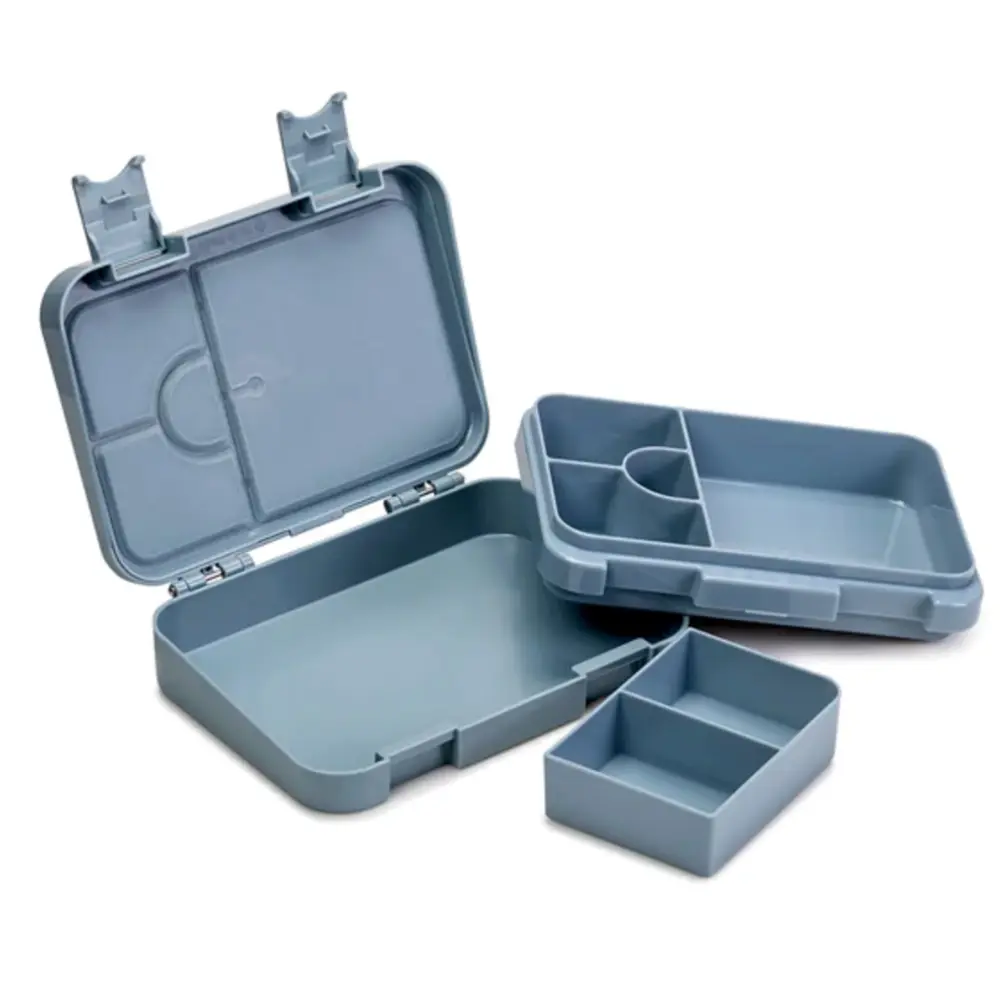 Bento Lunch Box - Dino Ville