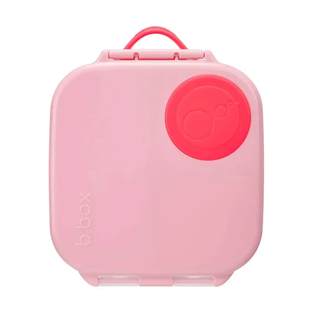 Mini Lunch Box - Flamingo Fizz