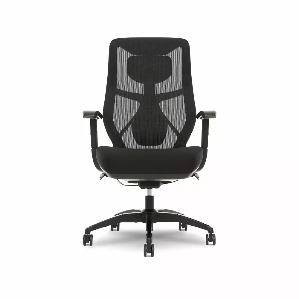Beautyrest Duo-EX Ergonomic Mesh Swivel Task Chair Black Gray Comfortable Office Chair Zhejiang Hengyu Plastic Technology ...