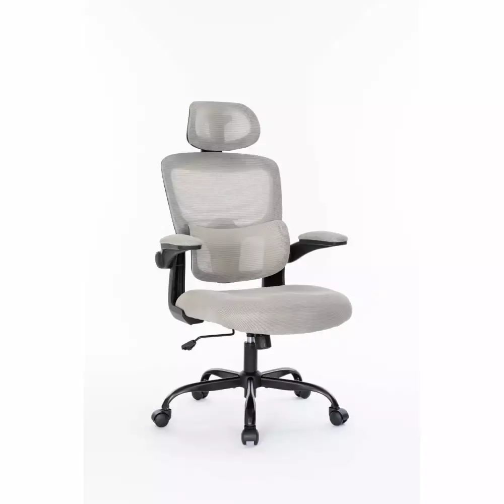 Ergonomic Mesh Office Chair 3D Adjustable Lumbar Support High Back Desk Chair Flip-up Arms ApexGlow