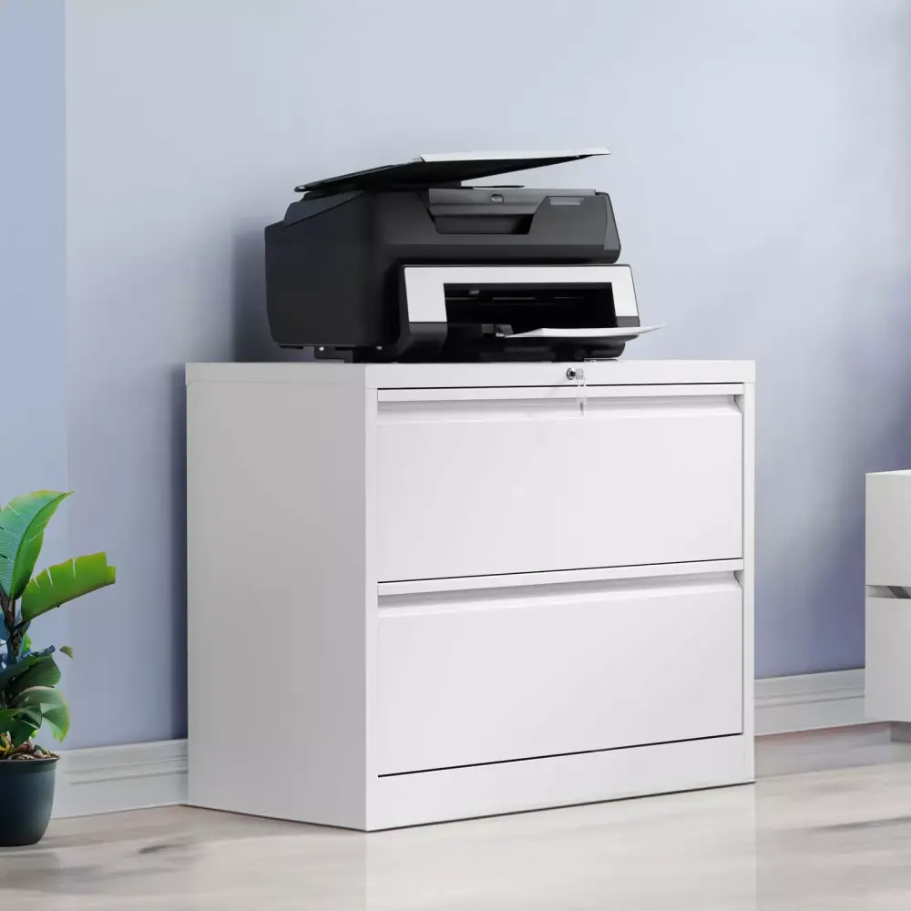 ZGBY Stainless Steel Wide 2-Drawer Lockable Lateral Filing Cabinet ZGBY Office Products