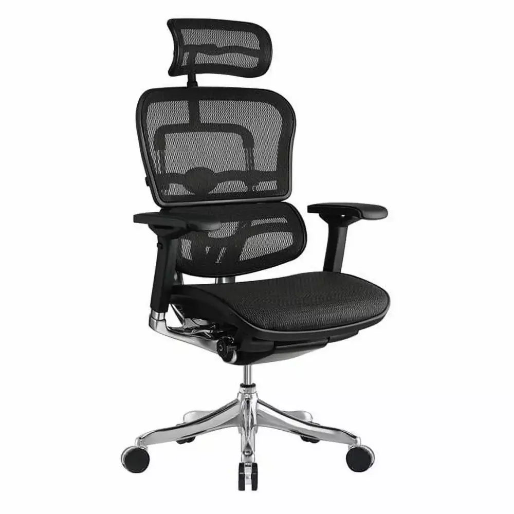 26.4 x 26 x 39.4 Black Mesh Elite Mid Back Chair Ergonomic Office Chair HomeRoots