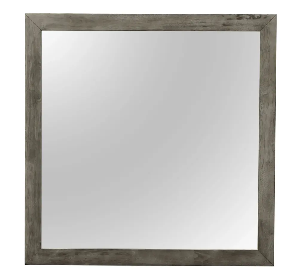 Minimalist Design Transitional Wall Mirror | Easy Installation Included