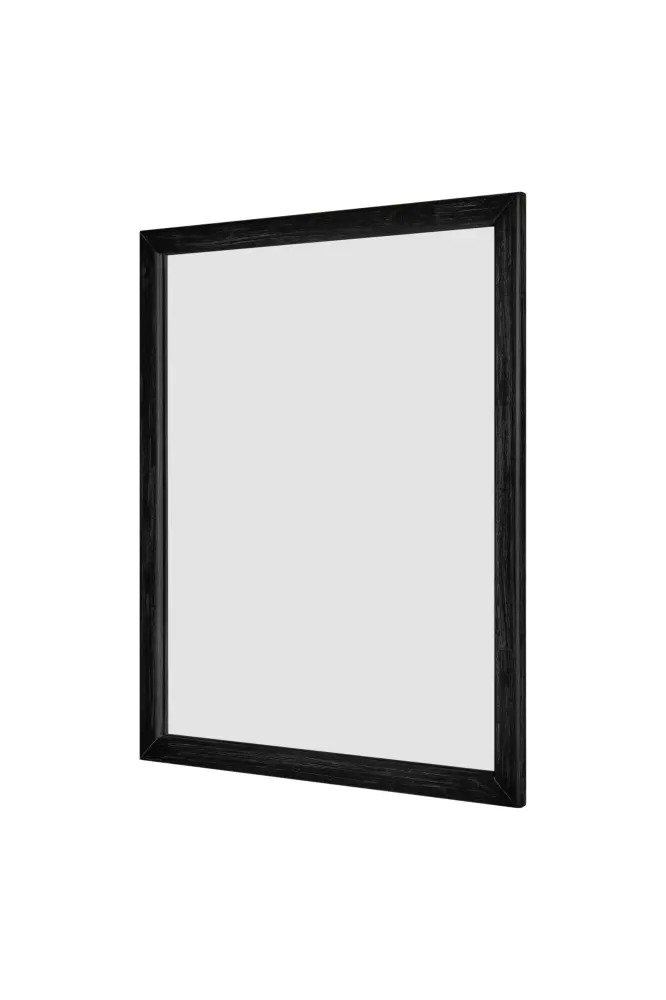 Modrest Fields - Modern Ebony Acacia Mirror