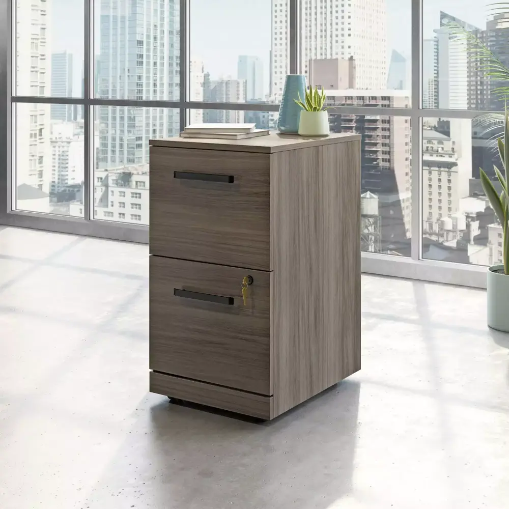 Sauder Affirm Engineered Wood 2-Drawer Mobile Filing Cabinet Hudson Elm Brown - Office Storage Solution