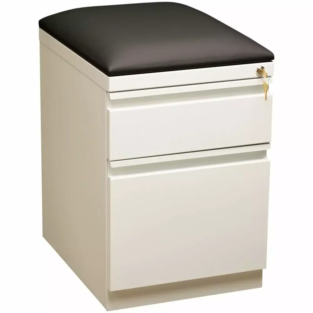 Scranton & Co 2-Drawer Metal Mobile Pedestal File Cabinet White Black Office Storage